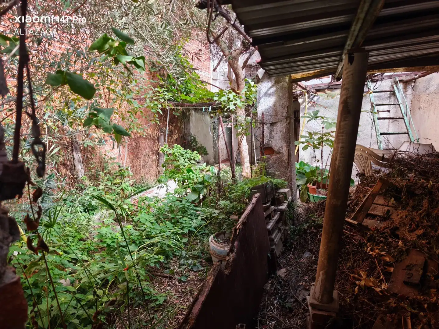 Jardín de Casa o chalet en venta en San Sebastián de los Reyes