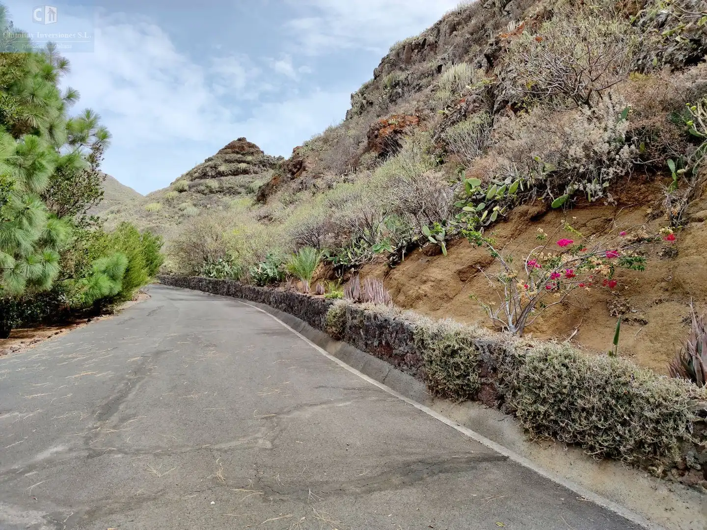Exterior view of Houses for sale in San Cristóbal de la Laguna  with Heating, Terrace and TV