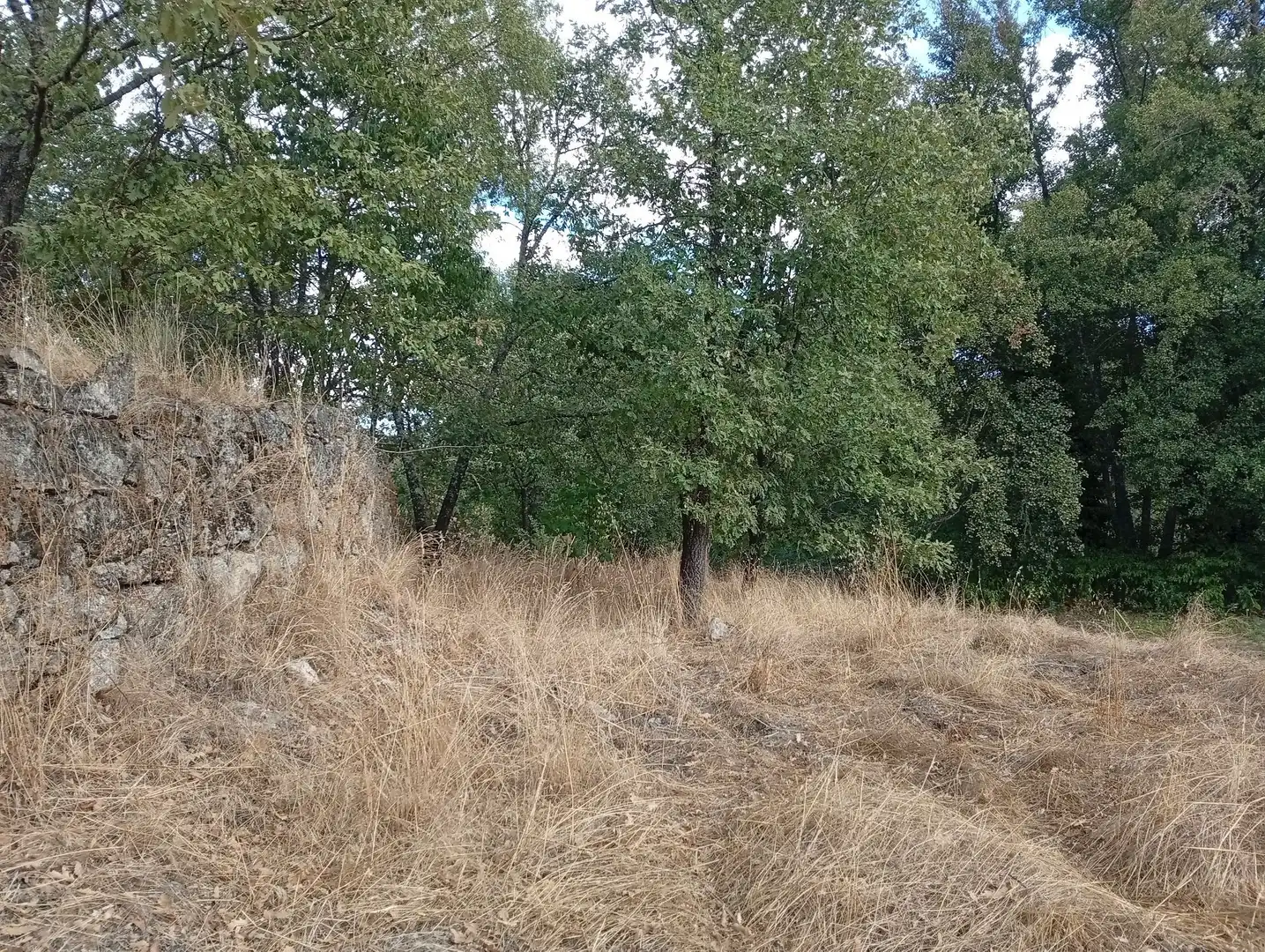 Terreni e lotti in vendita a Villanueva de la Vera, imagen 54