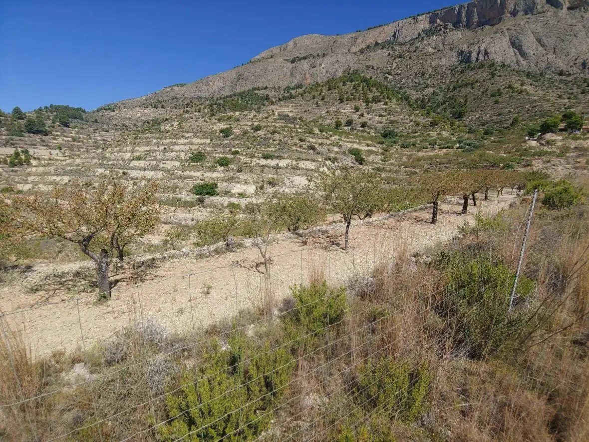 Terrenys i solars en venda a Sella, imagen 3