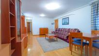 Sala d'estar de Pis en venda en Burgos Capital amb Calefacció i Moblat