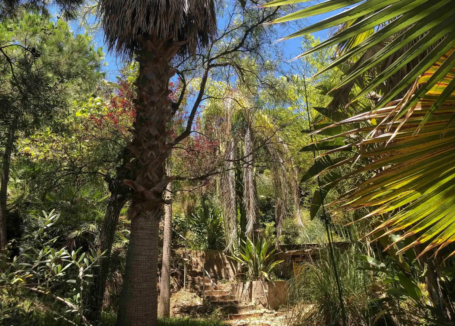 Jardín de Casa o chalet en venta en Benahavís con Aire acondicionado, Jardín privado y Terraza