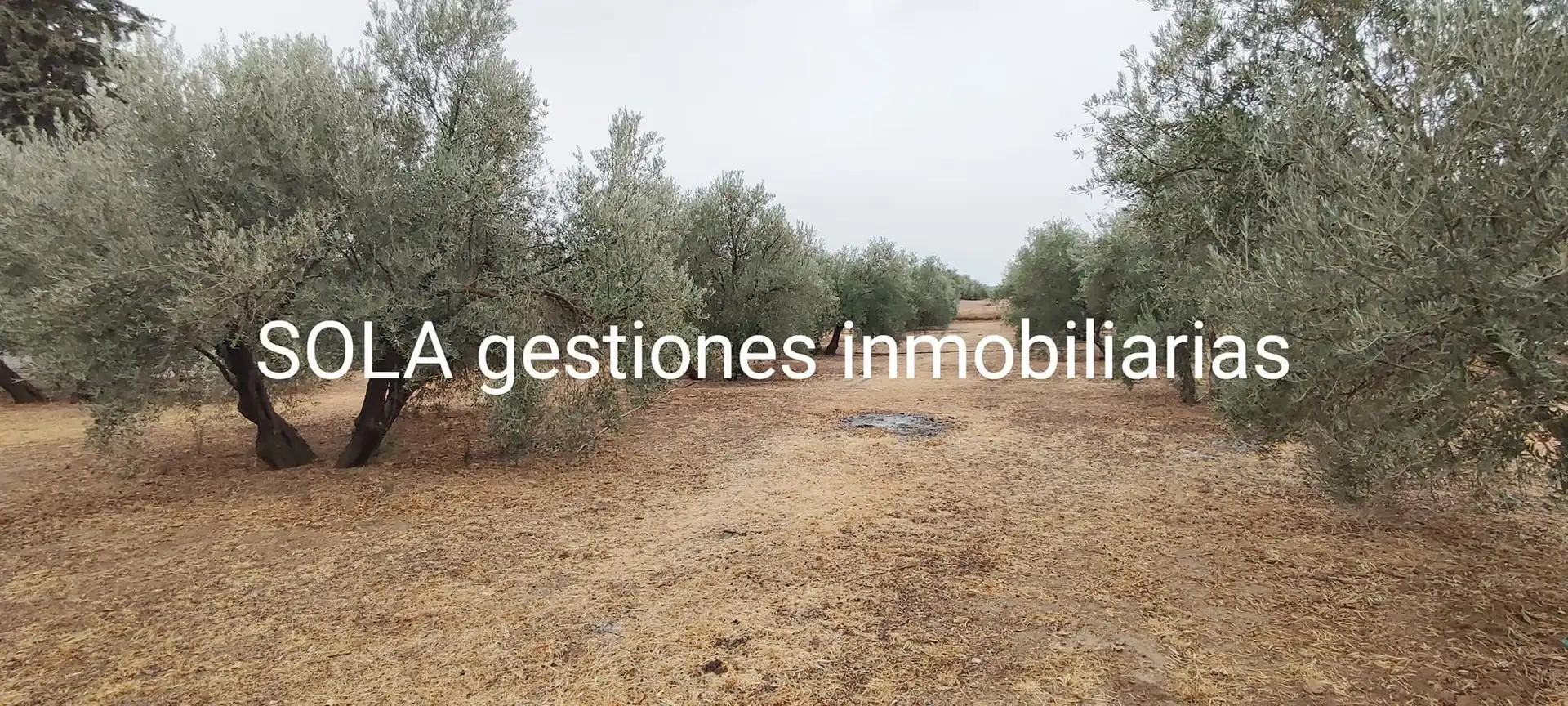 Terreni e lotti in vendita a Úbeda, imagen 12