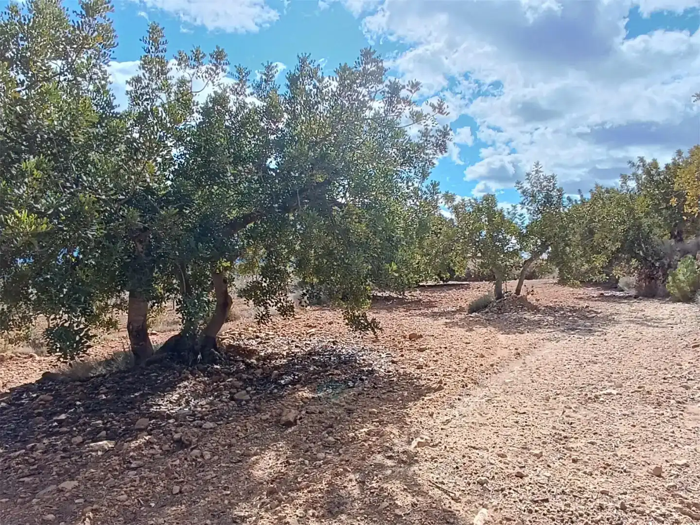 Land for sale in Useras /  Les Useres
