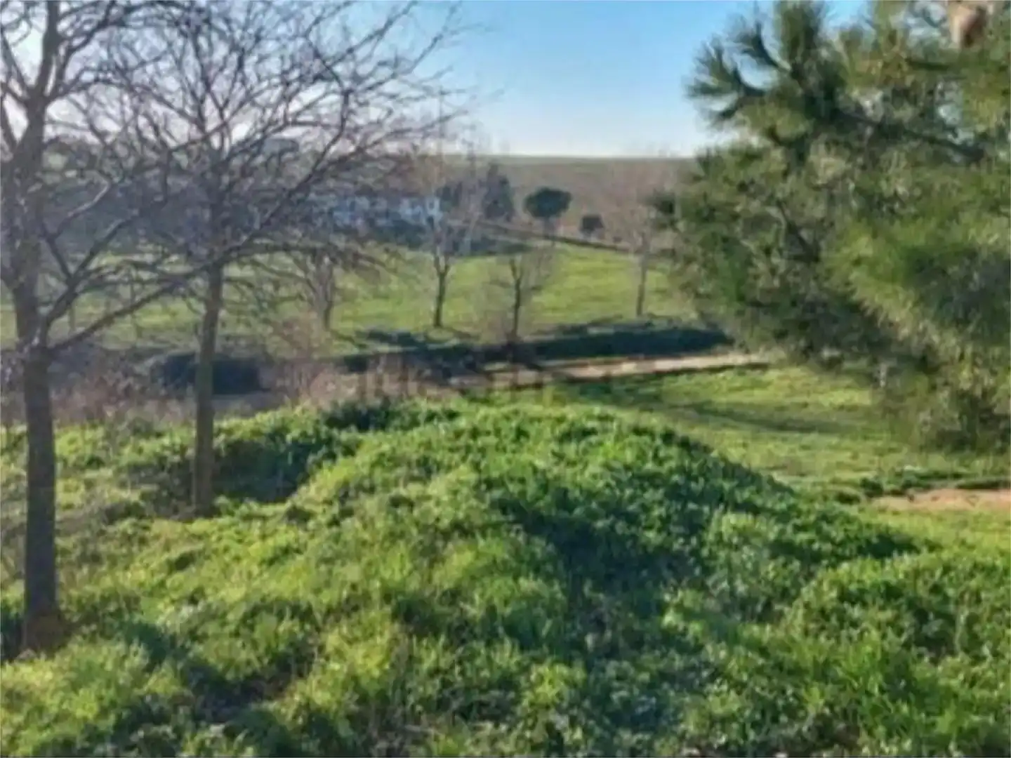 Terreno en venta en Guadalajara