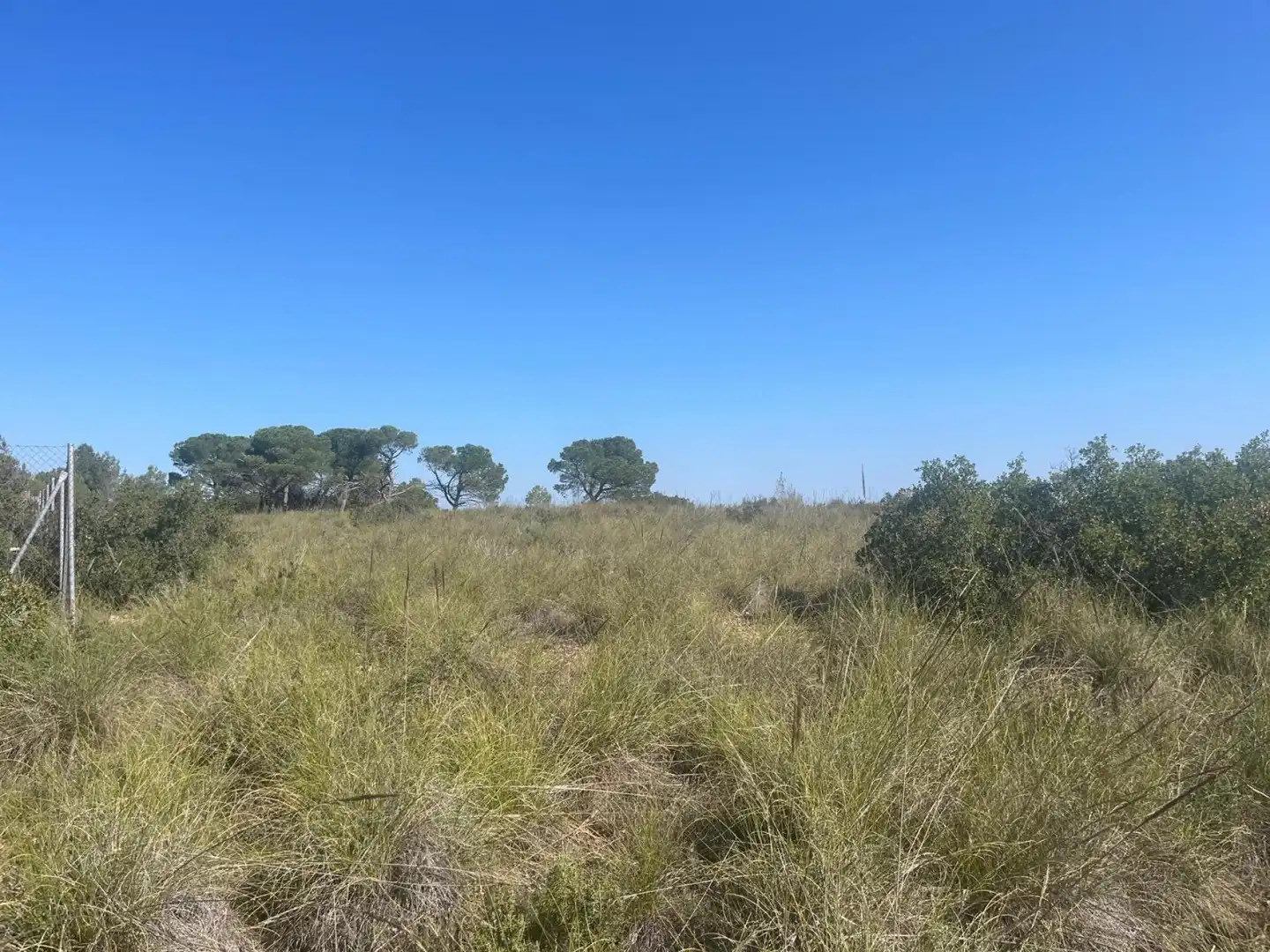 Terreni e lotti in vendita a Almansa, imagen 5