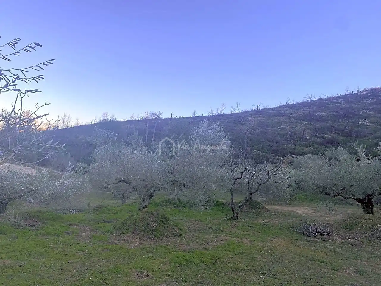 Terreno rustico in vendita a Perchels, imagen 8