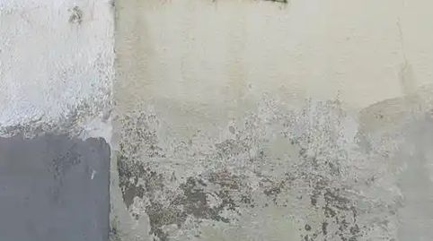 Foto 5 de Planta baixa en venda a Calle Hermano Martín Coronas, 16, Perpetuo Socorro, Huesca Capital