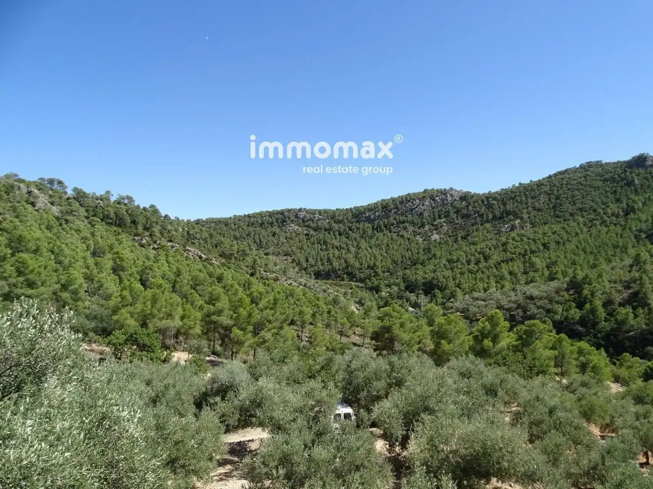 Villa à vendre à Paüls, imagen 17