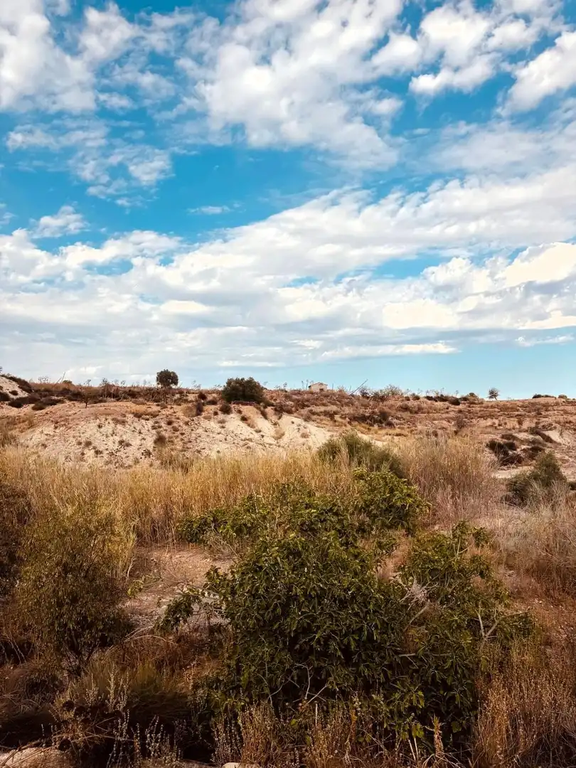 Terrain rustique à vendre à Campo de Murcia, imagen 15