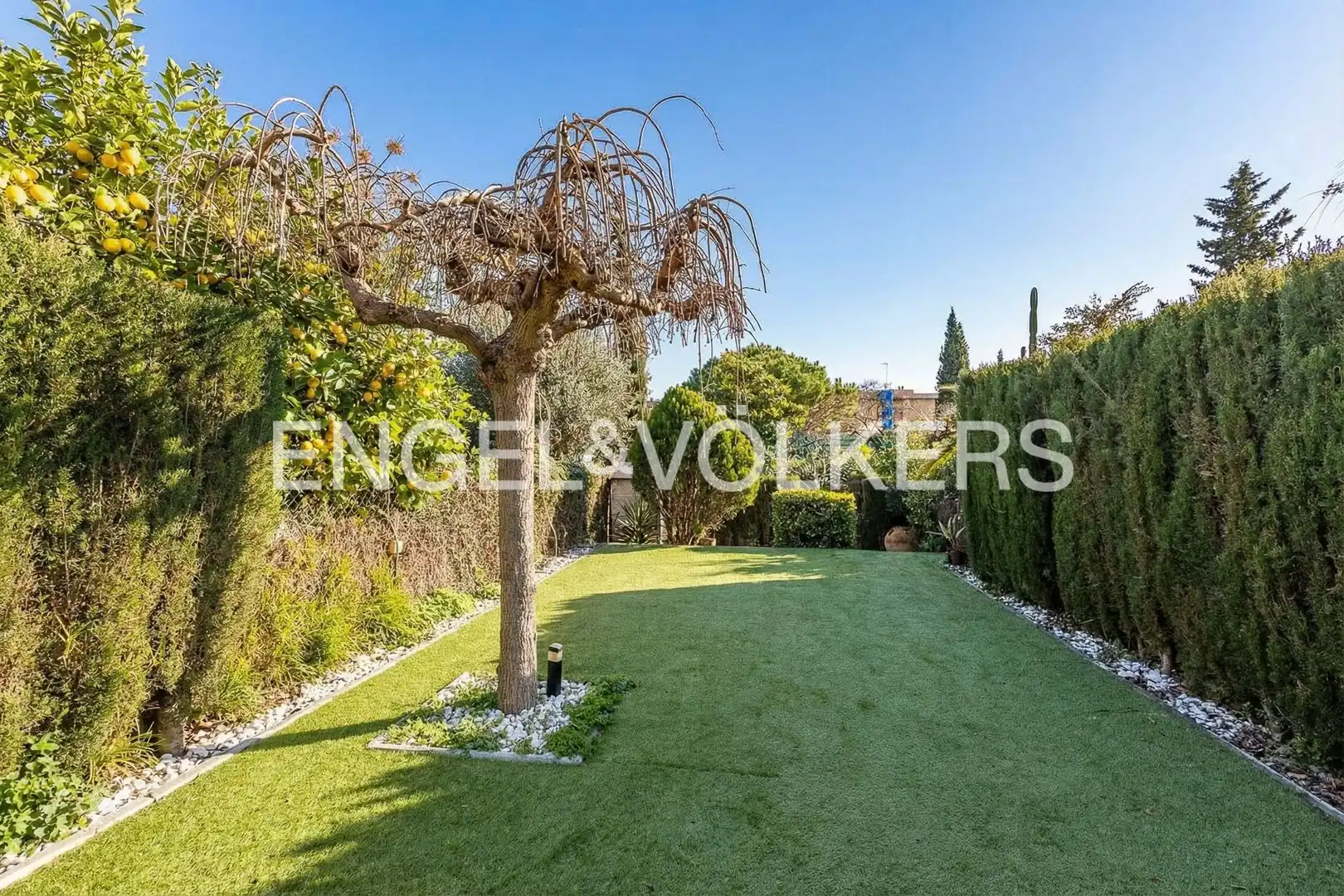 Jardí de Casa o xalet en venda en Esplugues de Llobregat amb Aire condicionat, Calefacció i Jardí privat