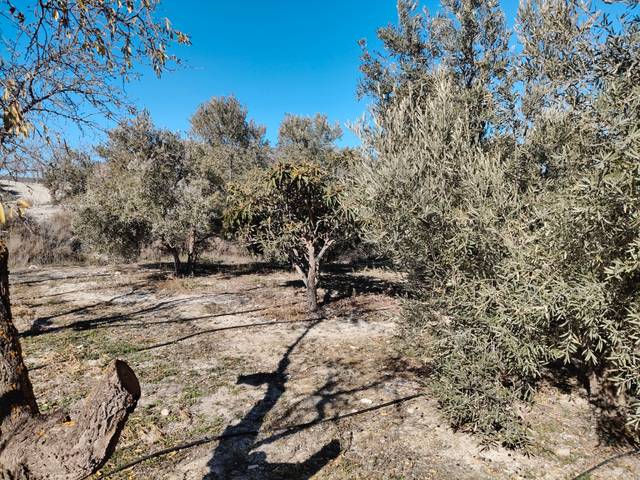 Terreno en Venta en N/A, -1 en Cortes de Baza