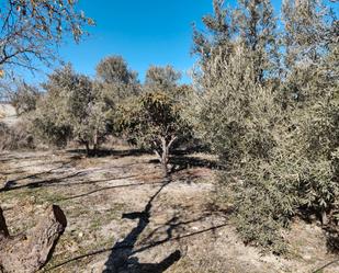 Grundstücke zum verkauf in Cortes de Baza