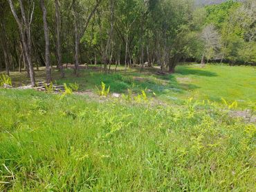 Residential land for sale in Guriezo