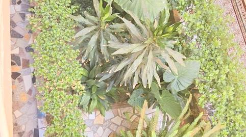 Photo 4 of Flat for sale in Paseo Marítimo de Levante, Málaga