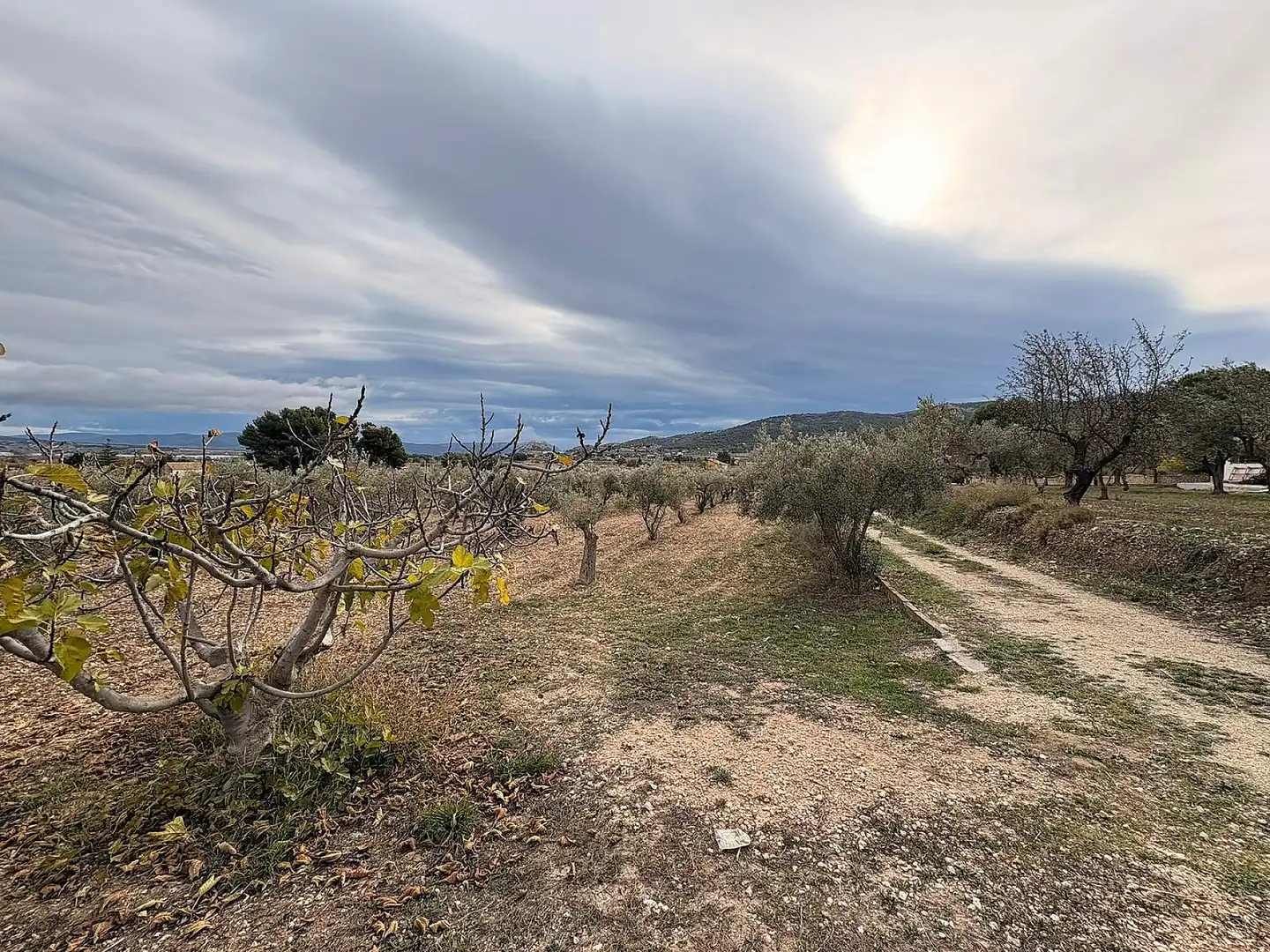 Terrain résidentiel à vendre à Onil, imagen 4