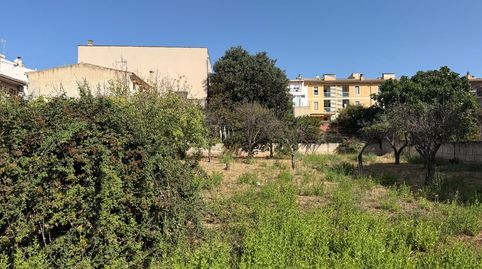 Foto 5 von Residential zum Verkauf in Lloseta, Illes Balears