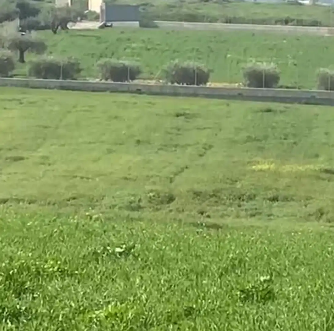 Rural land for sale in La Rosa, imagen 8