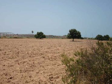 Terreno rustico in vendita a Las Tres Piedras - Costa Ballena