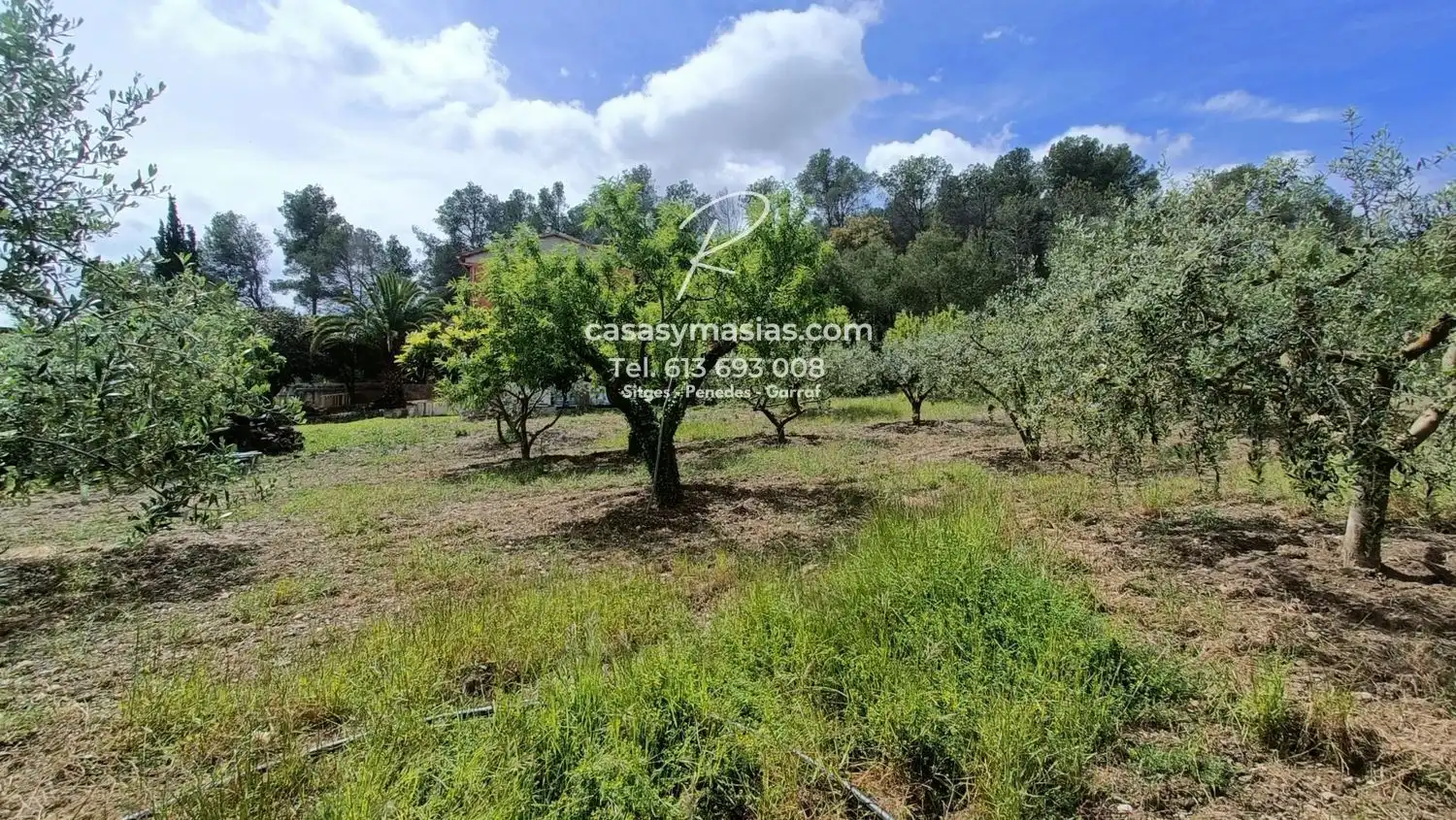 Finca rústica en venta en Mediona con Calefacción, Jardín privado y Piscina