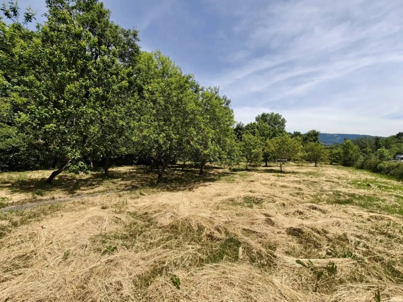 Casa o xalet en venda a Artziniega
