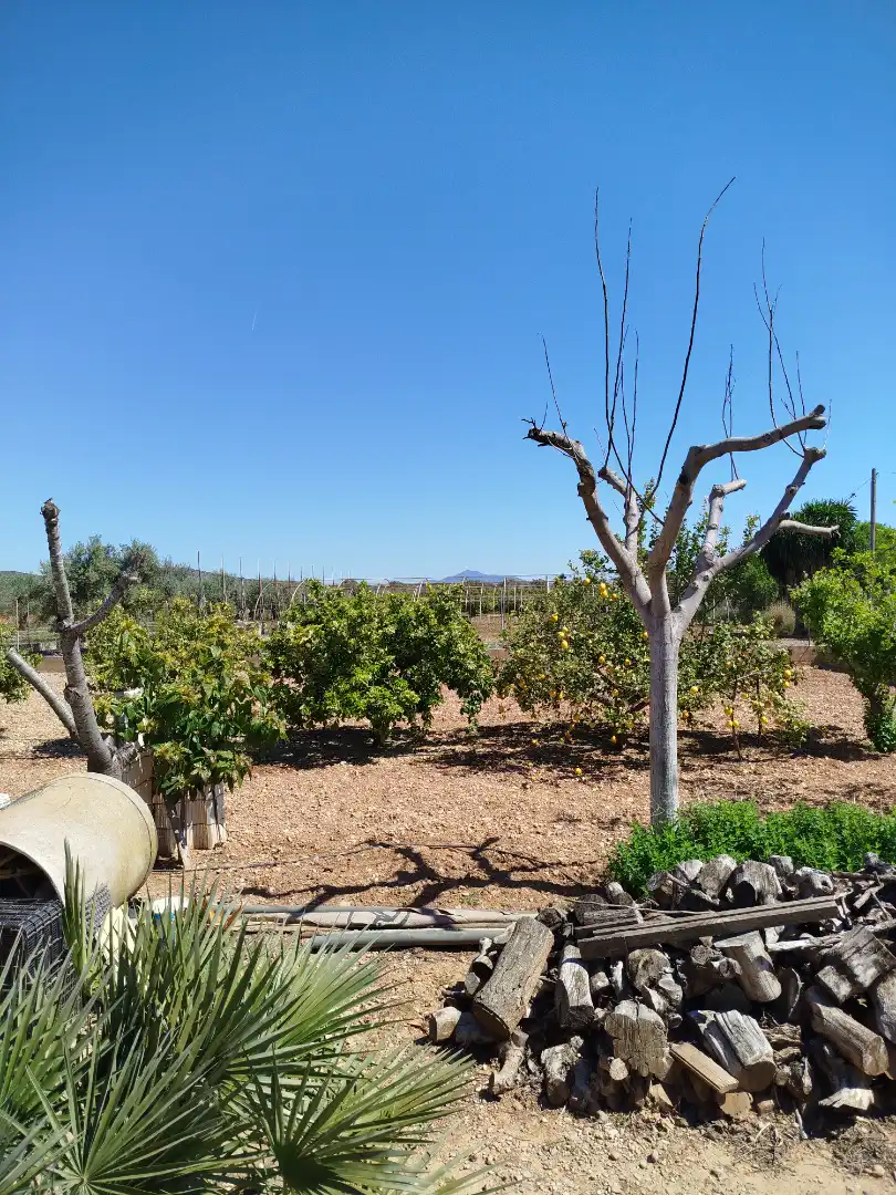 Terreno residencial en venta en Pueblo, imagen 39