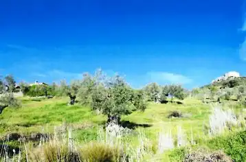 Casa o chalet en venta en Herrera del Duque con Trastero y Piscina