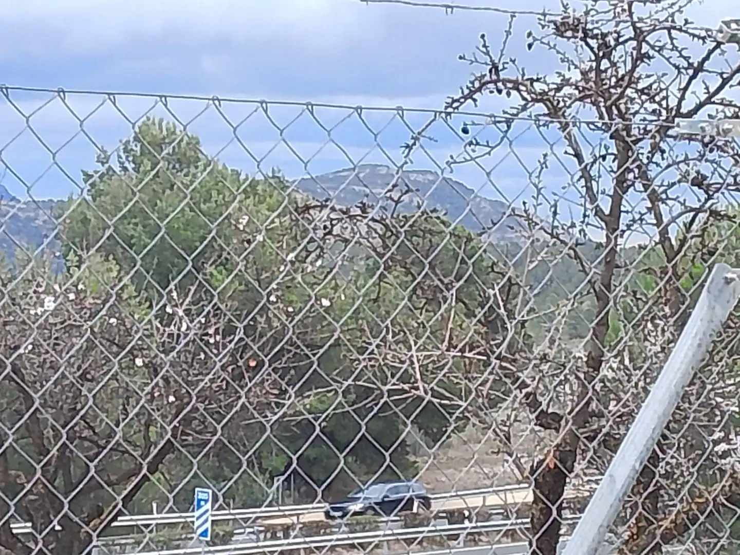Vista exterior de Casa o xalet en venda en Tibi amb Jardí privat, Terrassa i Moblat