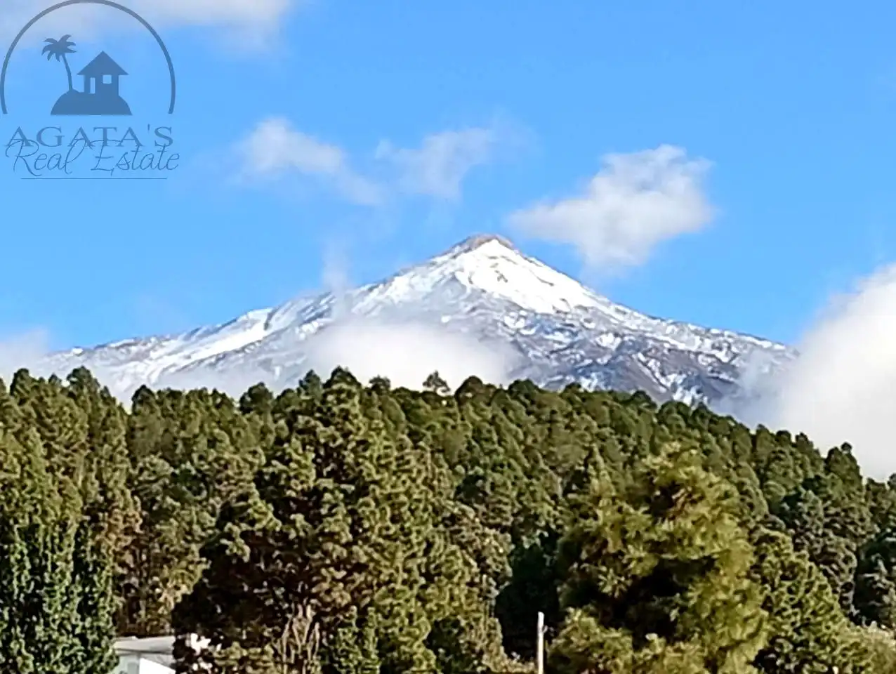 Casa amb piscina en venda a La Vega - El Amparo - Cueva del Viento, imagen 58