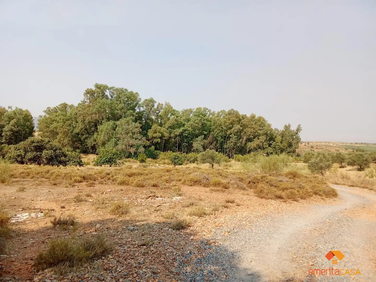 Terreni e lotti in vendita a Oeste