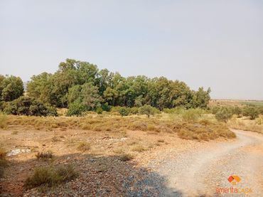 Terreni e lotti in vendita a Oeste