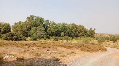 MéridaTerreno