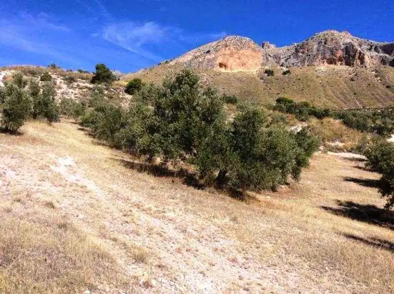 Terreni e lotti in vendita a Bedmar y Garcíez, imagen 3