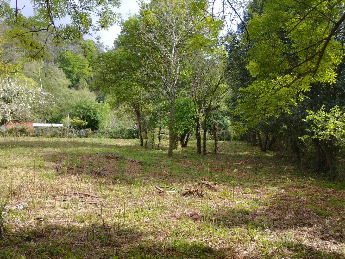 Detached homes for sale in Cabanas  with Private garden