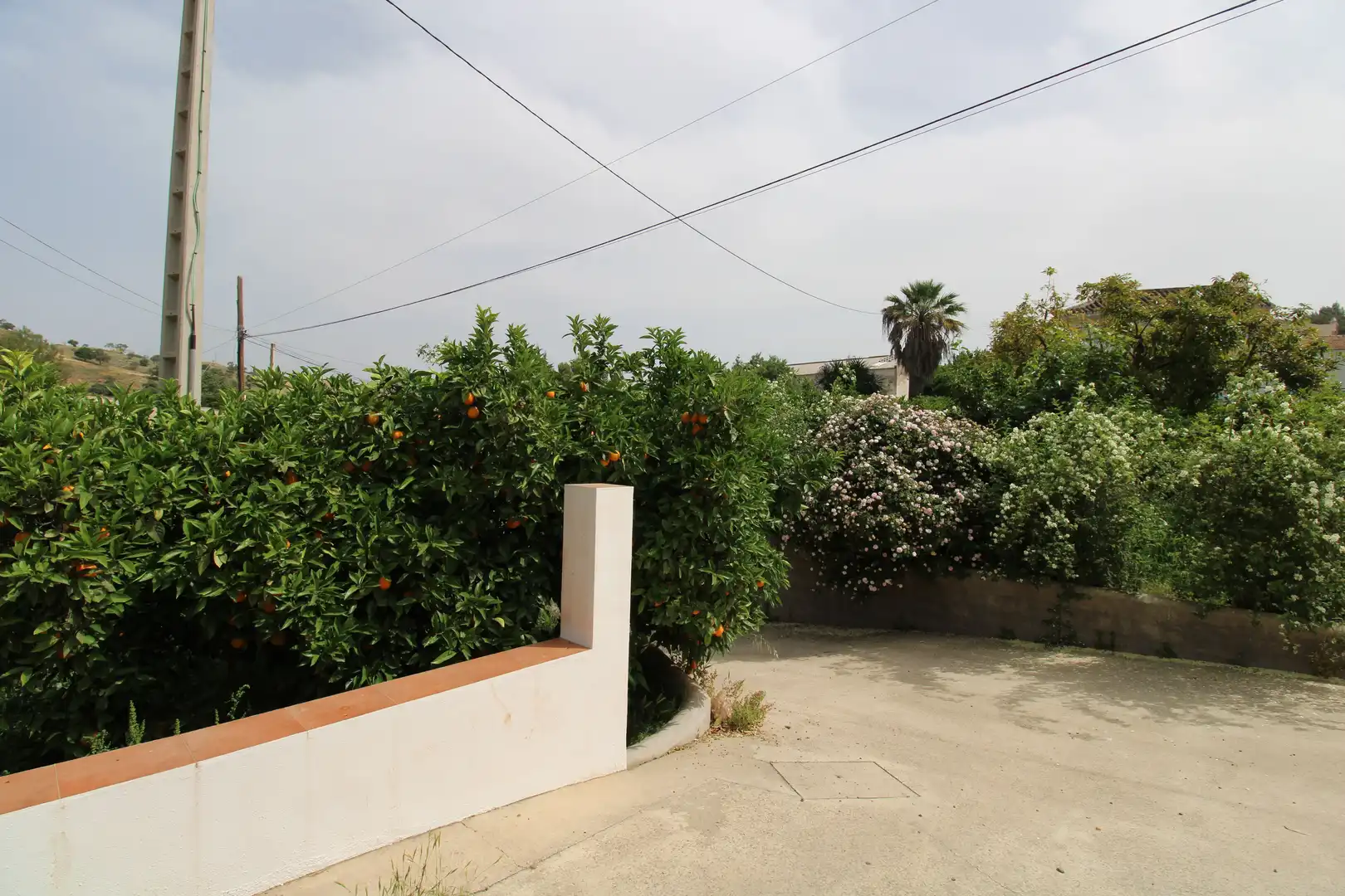 Garden of Country homes for sale in Coín  with Terrace and Storage room