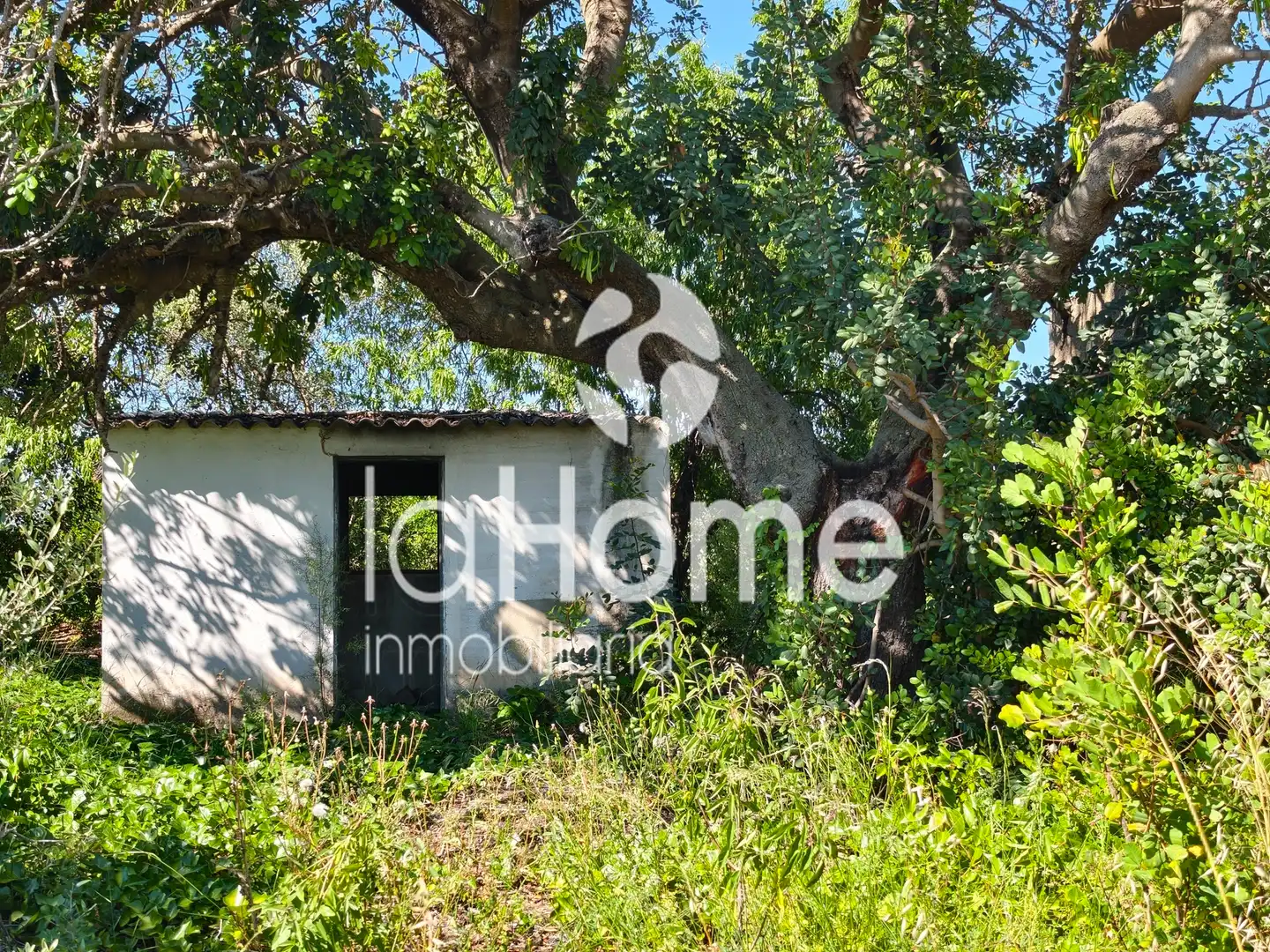 Finca rústica en venta en Llíria con Terraza