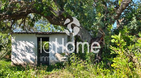 Foto 3 de Finca rústica en venta en Urbanización Chuliesa K8-22, Urbanizaciones, Llíria