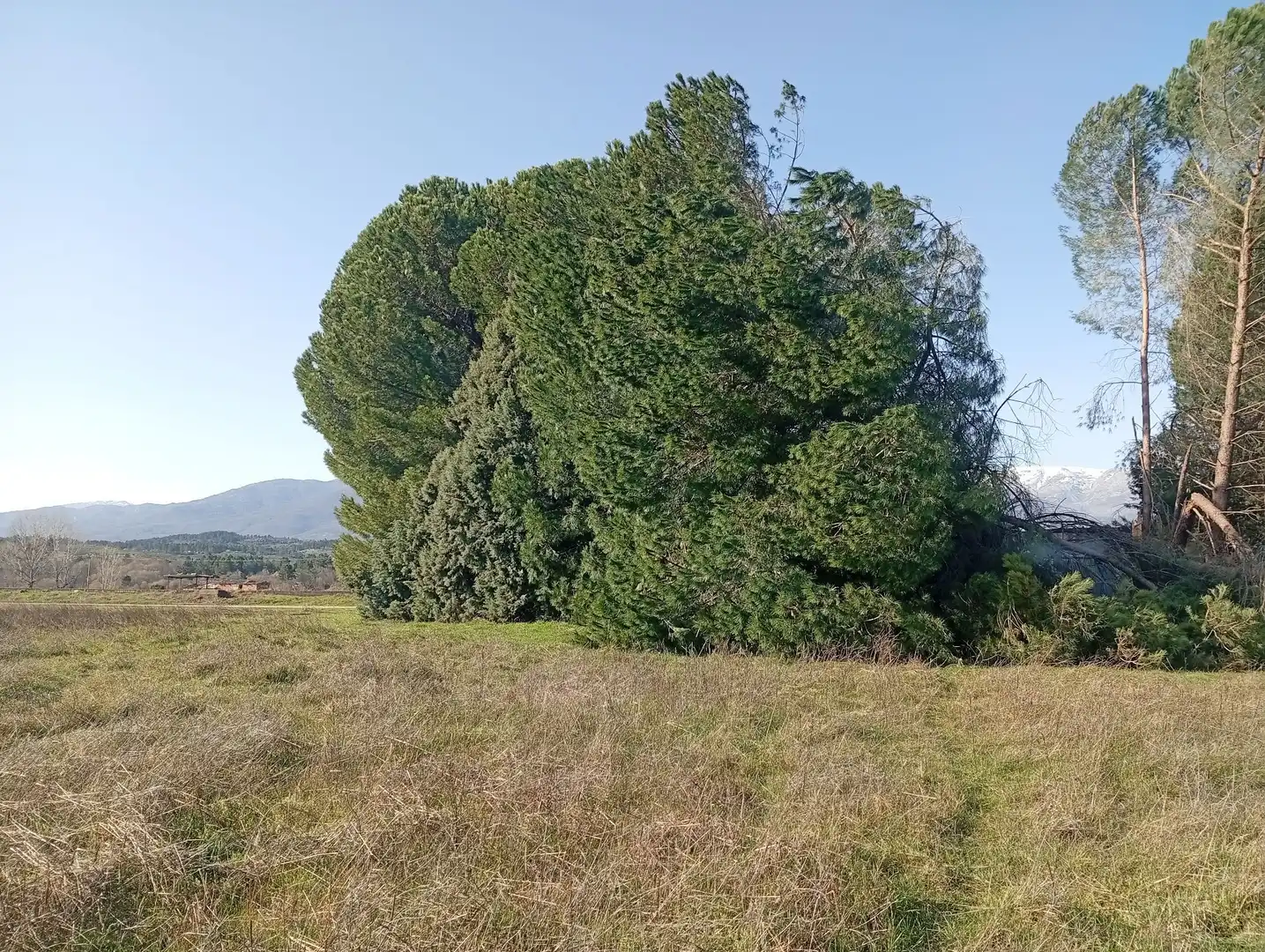 Terreni e lotti in vendita a Villanueva de la Vera, imagen 11