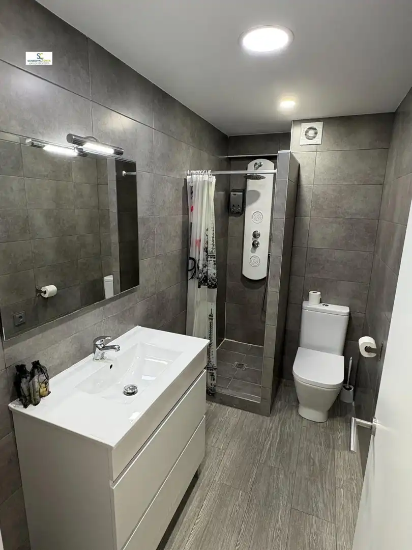 Bathroom of Study for rent in Alicante / Alacant  with Air Conditioner, Furnished and Community pool