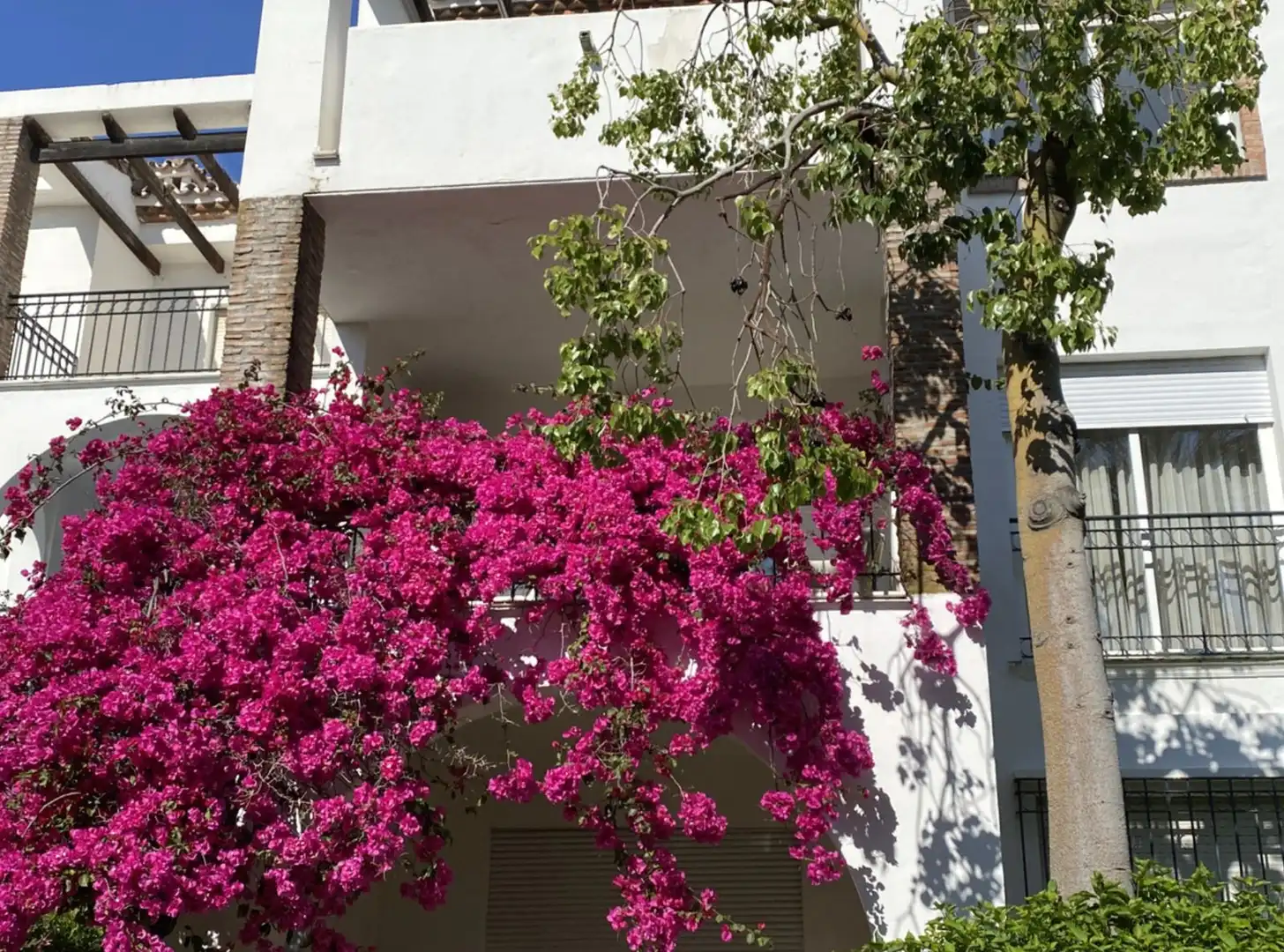 Vista exterior de Piso de alquiler en Estepona con Aire acondicionado, Terraza y Amueblado