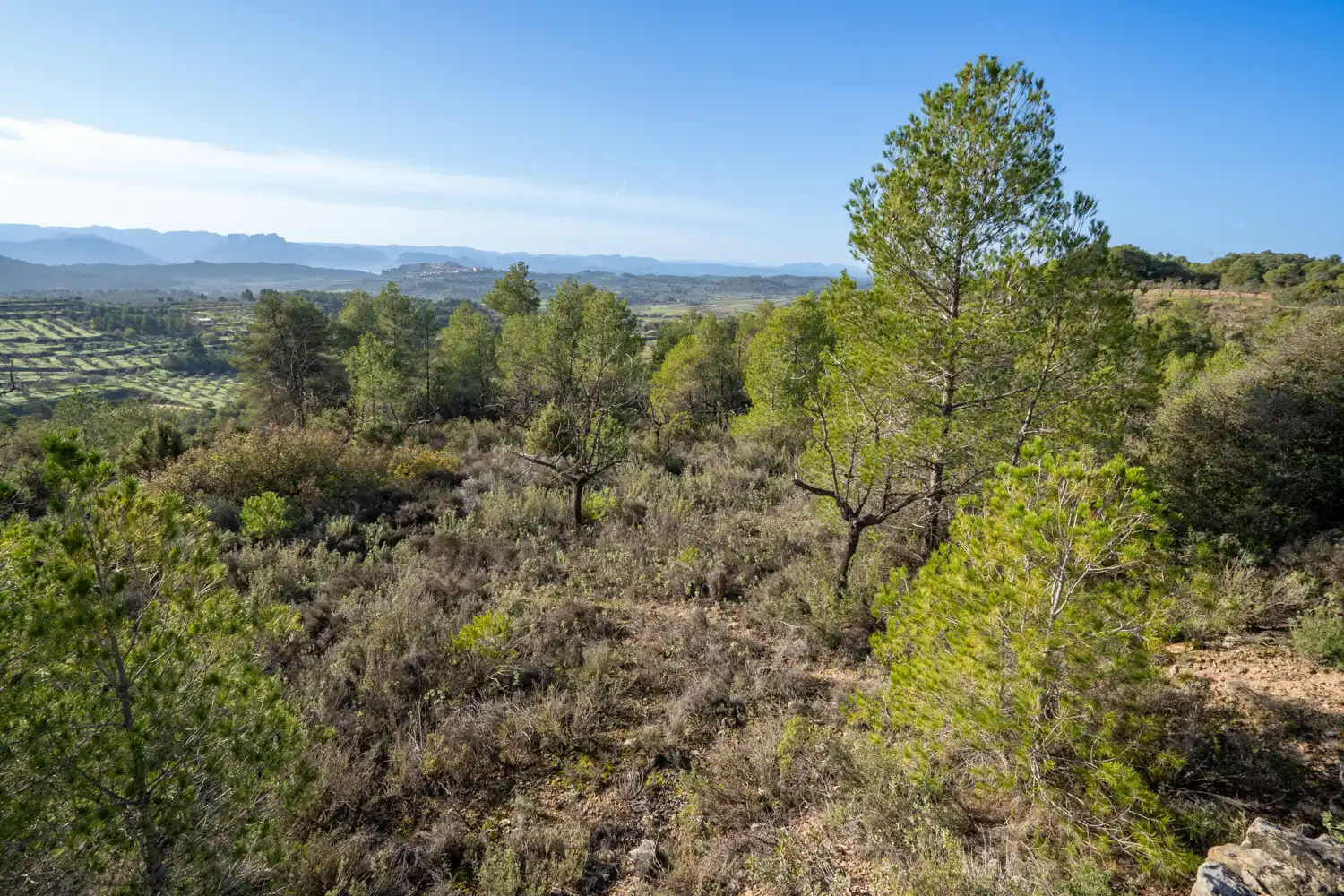 Rural land for sale in Plaça de l'Esglesia 4, imagen 7