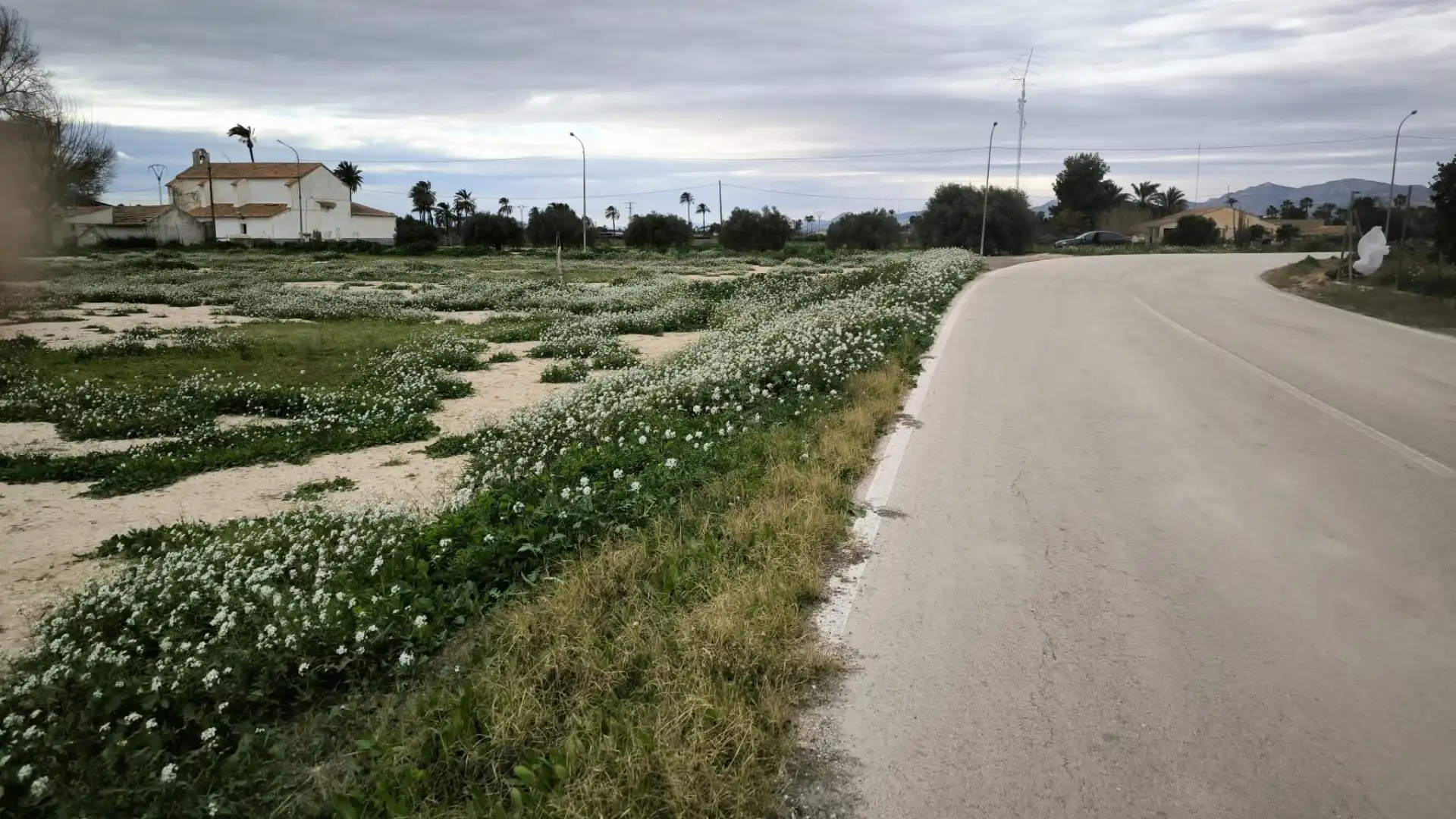 Terreno en venta en Elche / Elx