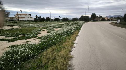 Photo 2 of Land for sale in Partida Derramador, Algorós - El Derramador, Elche / Elx