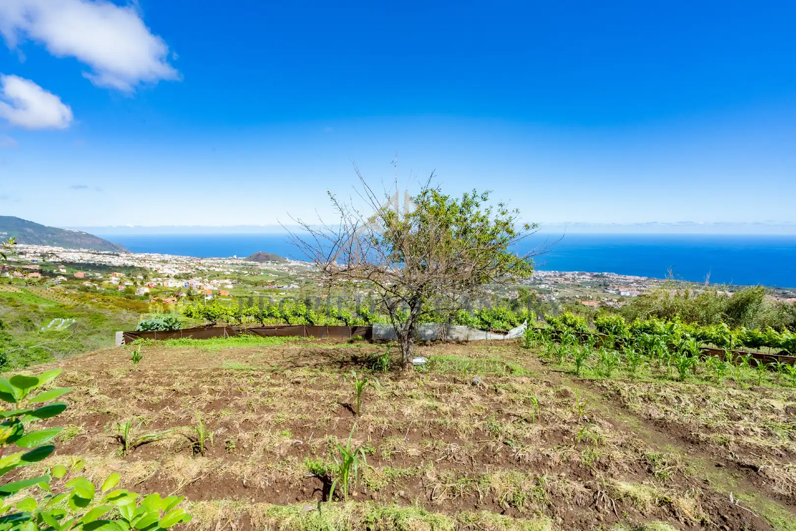Casa rústica con jardín en venta en La Perdoma - San Antonio - Benijos, imagen 20