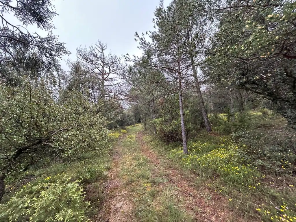 Country homes for sale in El Toro