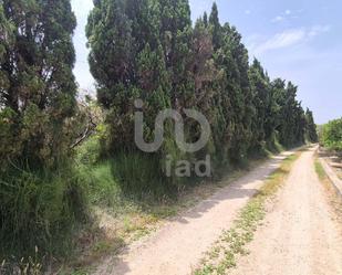 Residential for sale in Oliva