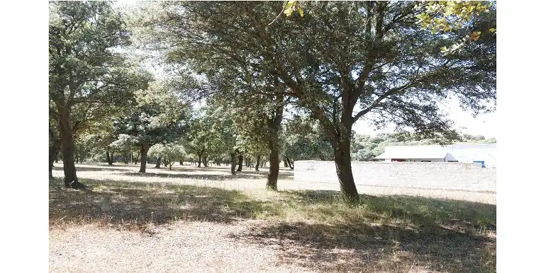 Terreni e lotti in vendita a Marugán, imagen 56