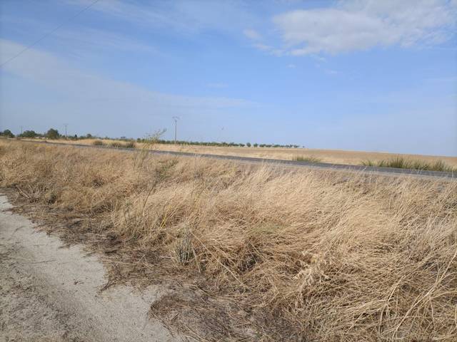 Terreno en Venta en Orgaz