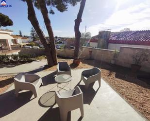 Terrace of House or chalet to rent in El Rompido  with Private garden and Terrace