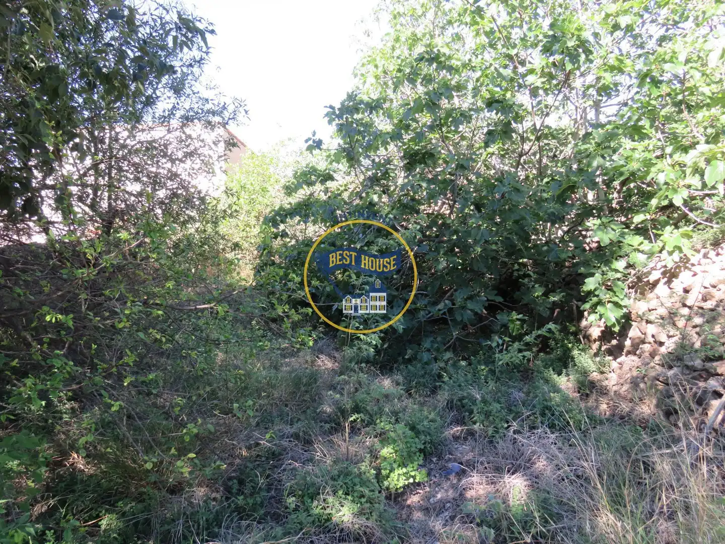 Lands and plots for sale in Montesa, imagen 12